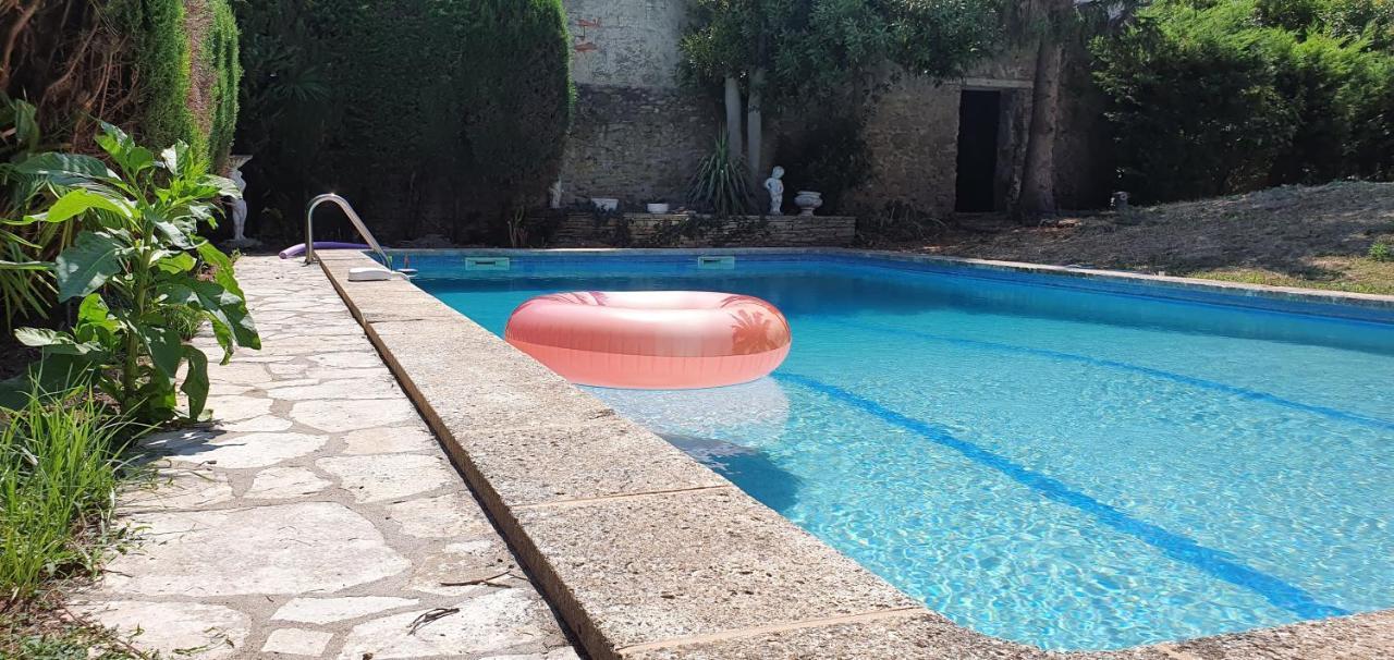 La Casa De Margarita Y Sisco, Villa Avec Piscine 卡尔卡松 外观 照片