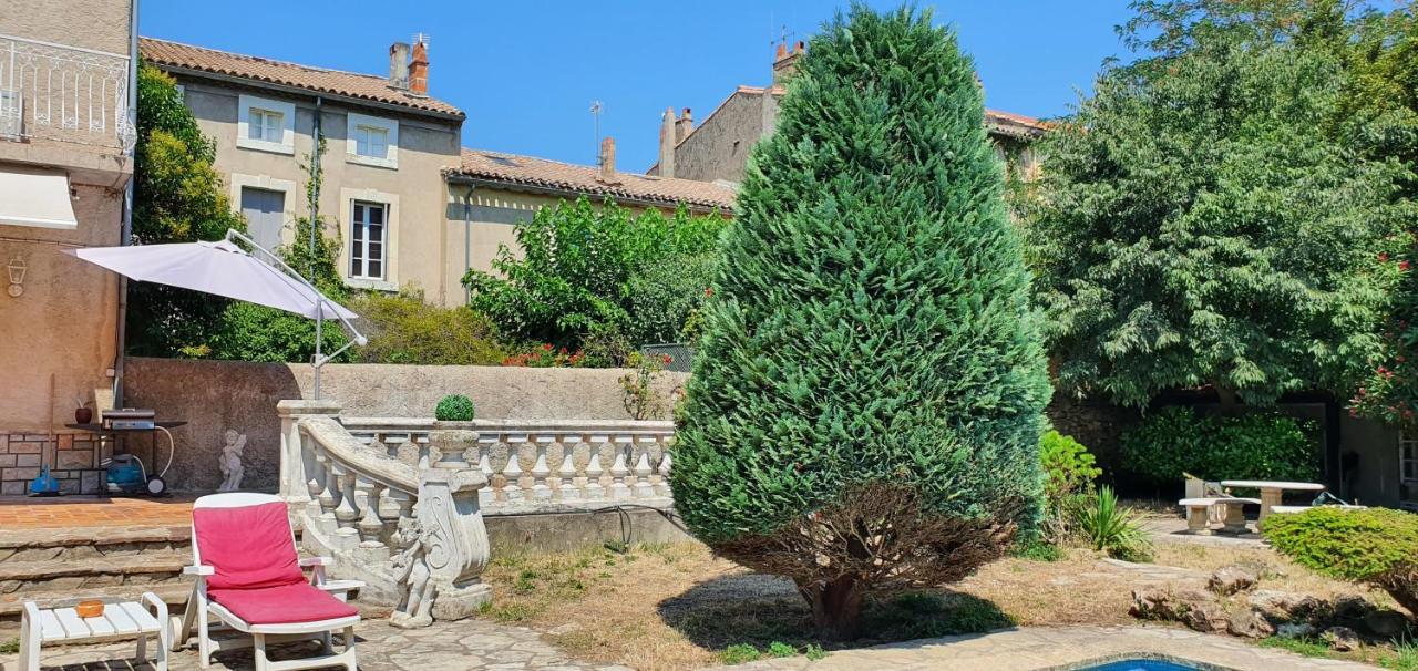 La Casa De Margarita Y Sisco, Villa Avec Piscine 卡尔卡松 外观 照片